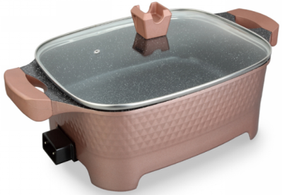 10L Electric hot pot